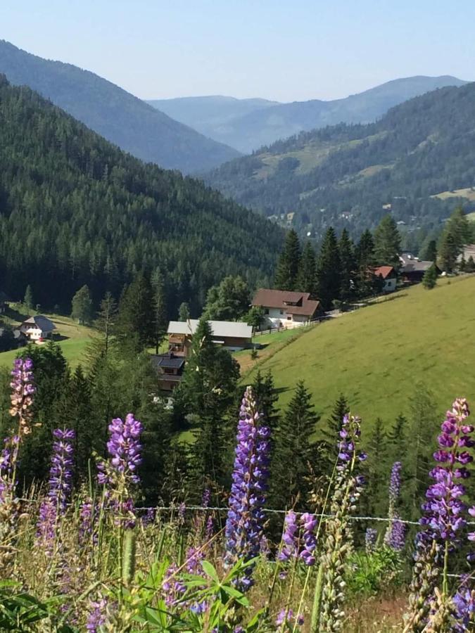 Haus Klinsterwald Sankt Oswald (Carinthia) Buitenkant foto