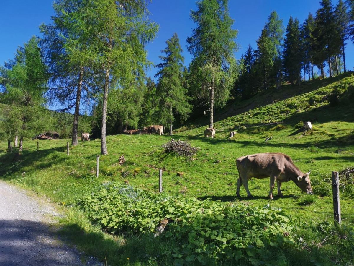 Haus Klinsterwald Sankt Oswald (Carinthia) Buitenkant foto