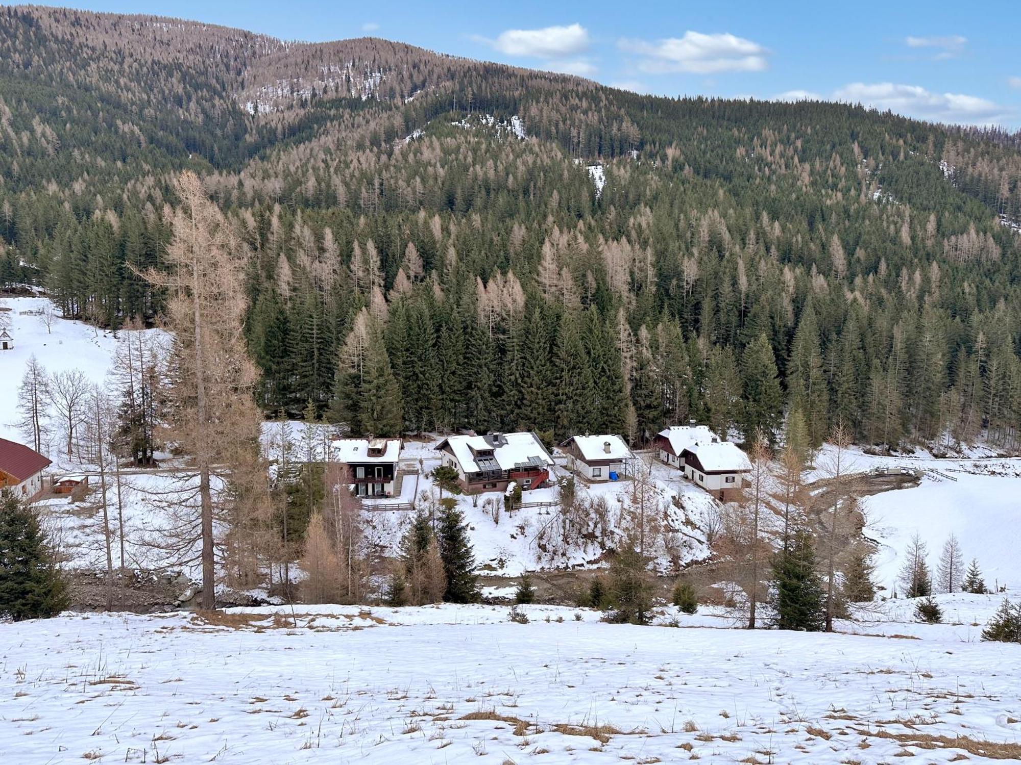 Haus Klinsterwald Sankt Oswald (Carinthia) Buitenkant foto